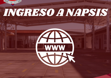 ingreso a napsis (APODERADOS)